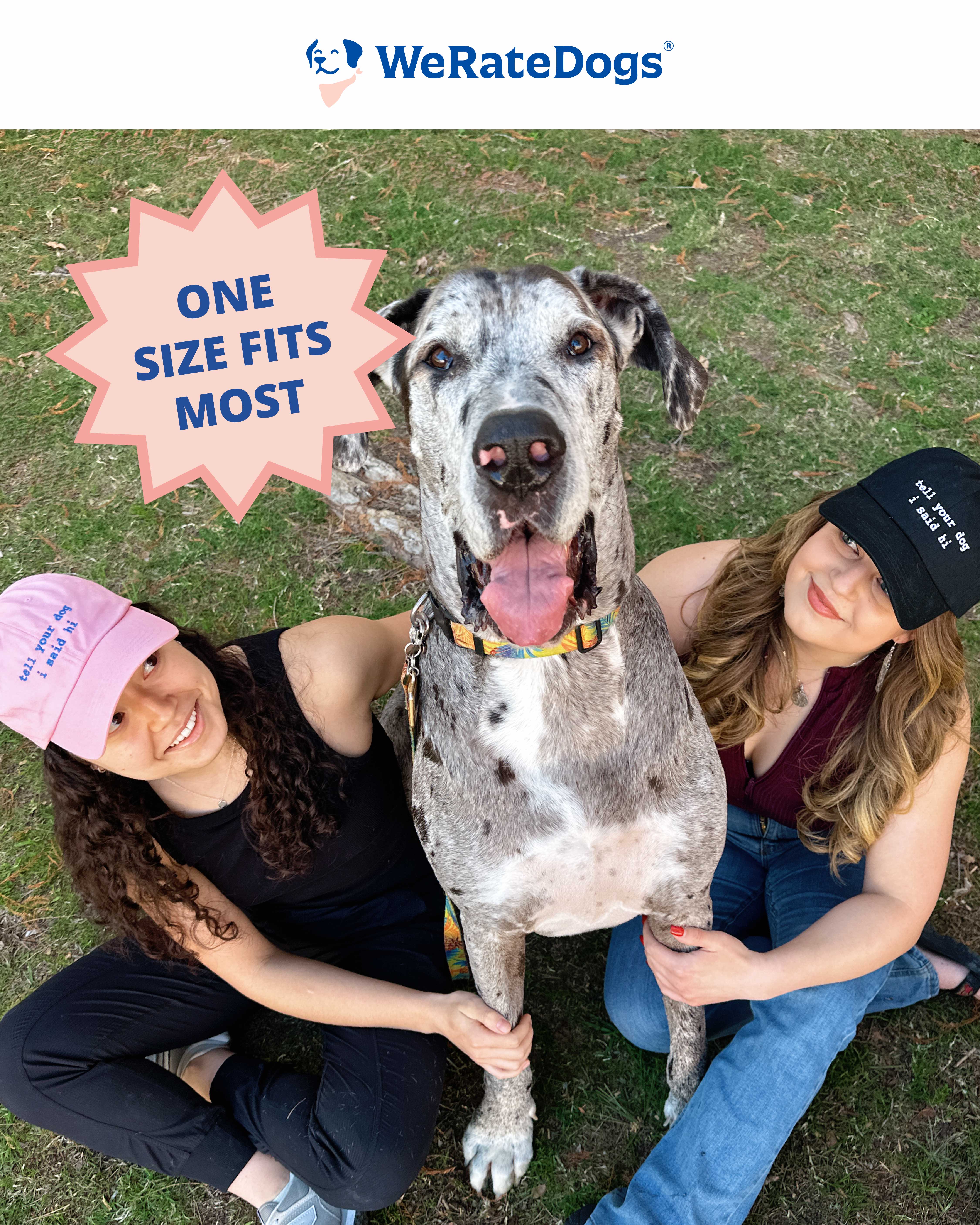 Black Hat - lowercase - Image 3