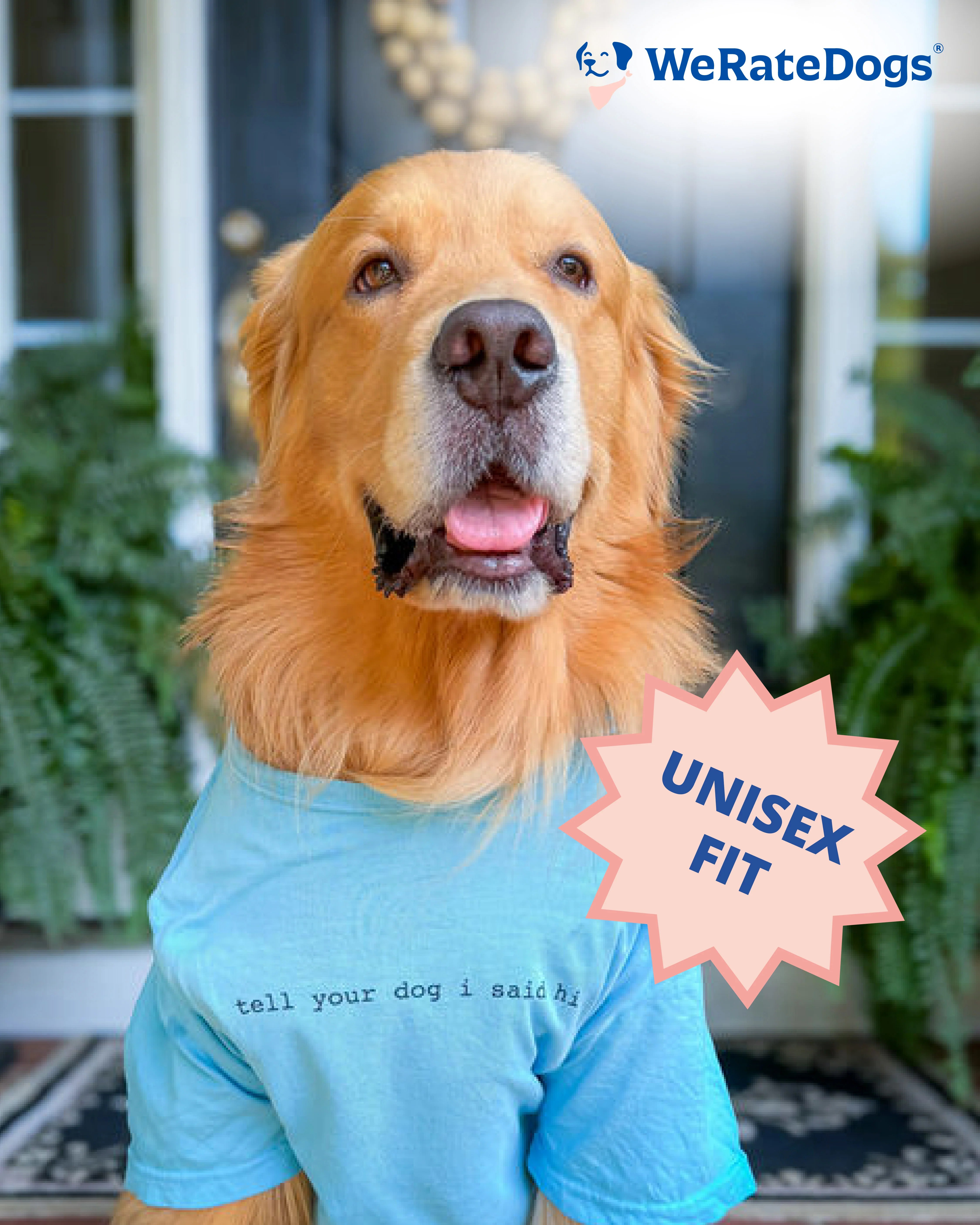 Classic Tee - Light Blue - Image 5