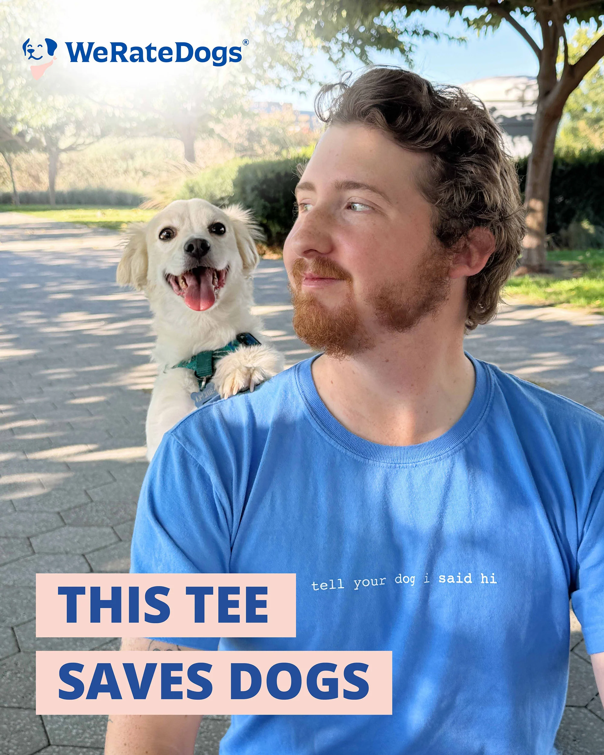 Classic Tee - Pacific Blue - Image 3