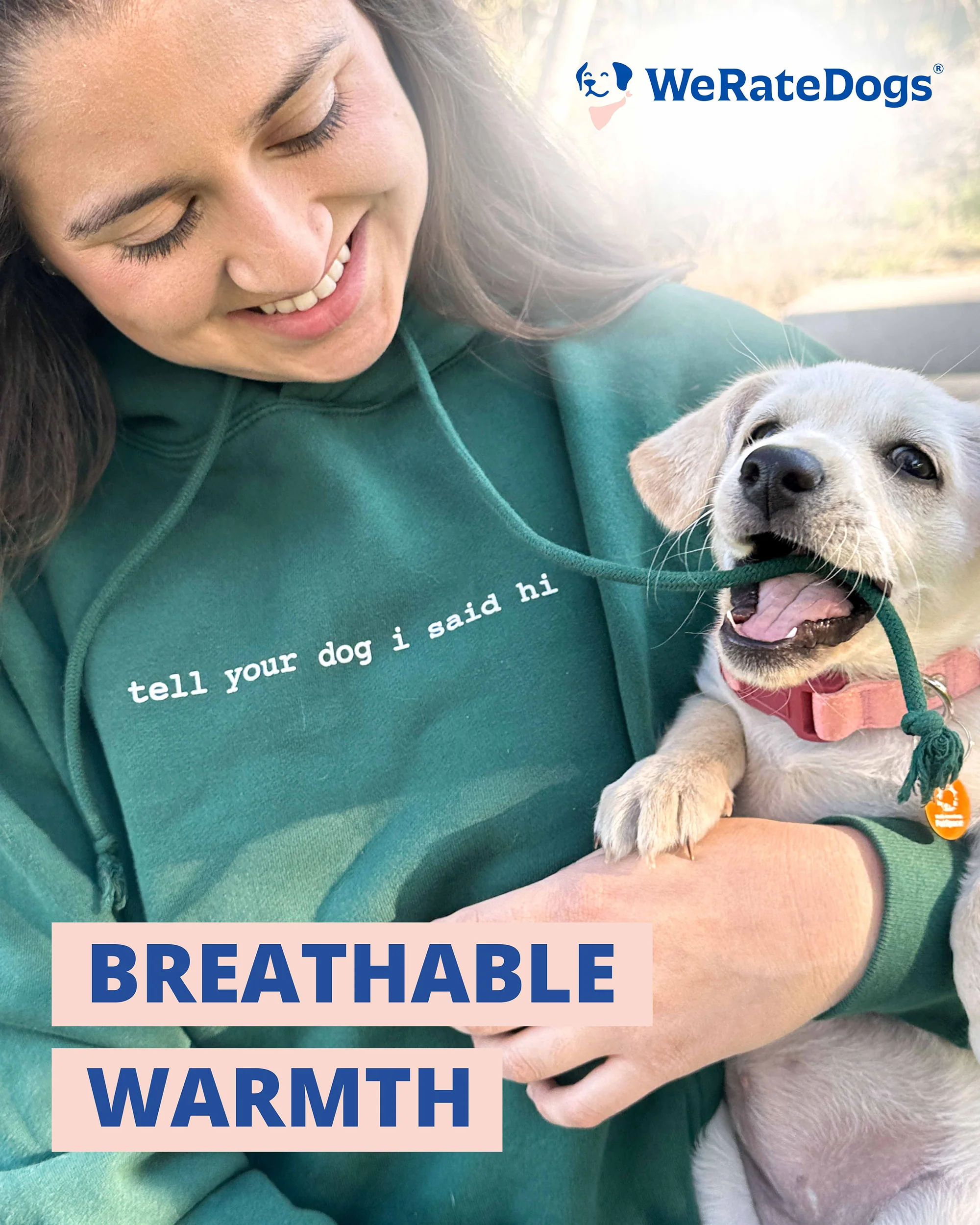 Classic Hoodie - Alpine Green - Image 4