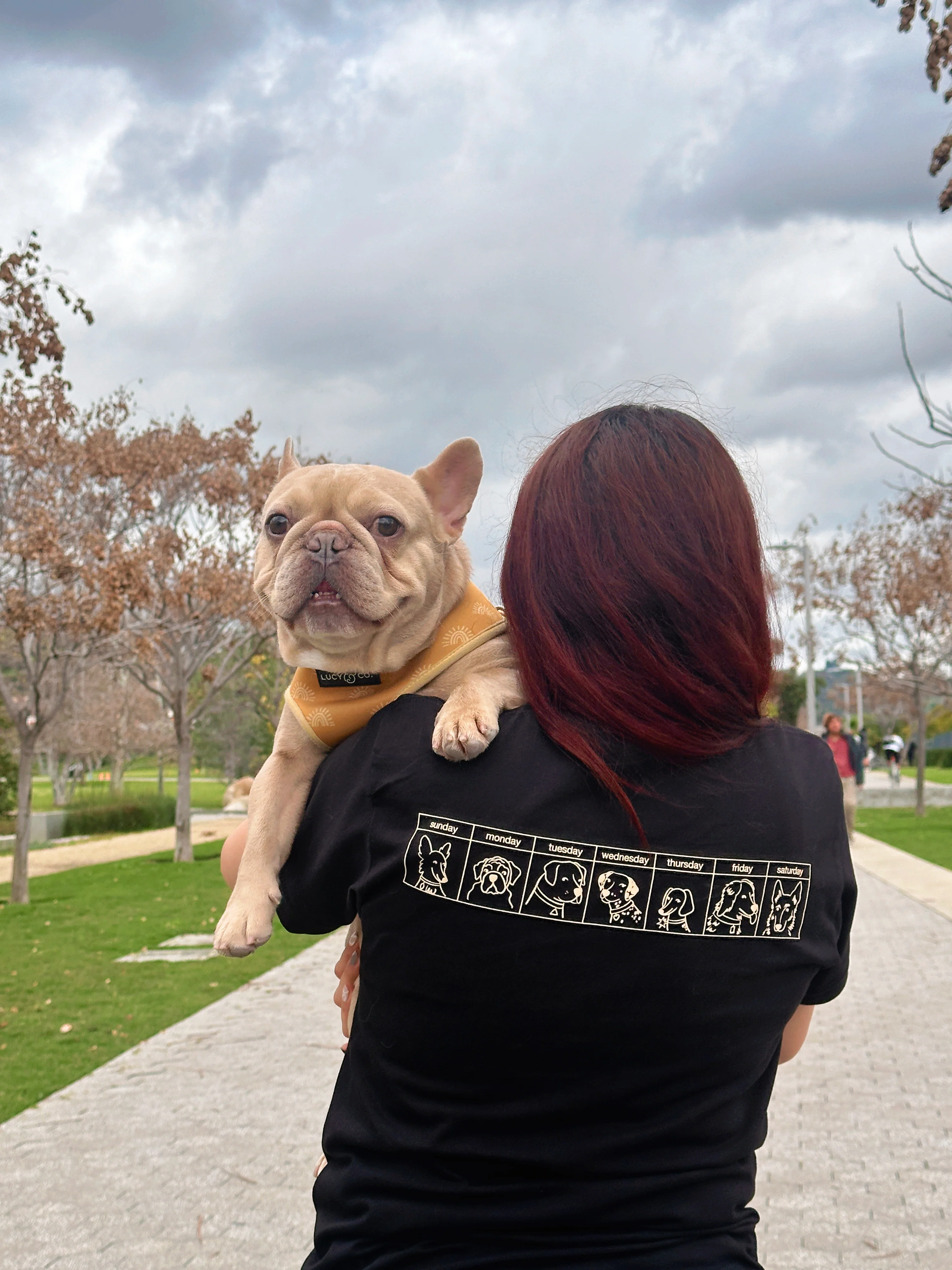 The Dogs Were Good Again Tee - Black - Image 6