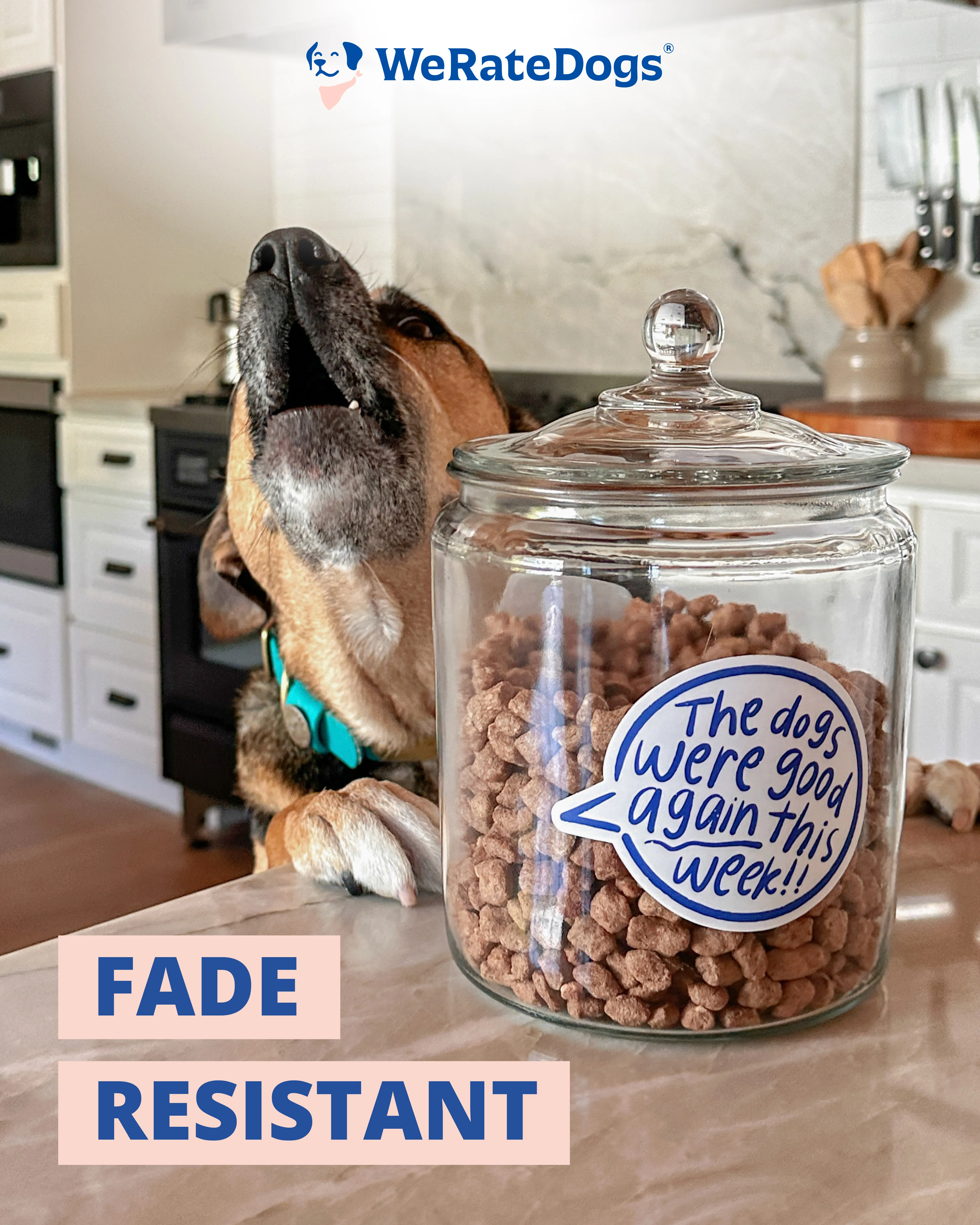 The Dogs Were Good Again This Week Talk Bubble Sticker - Image 5