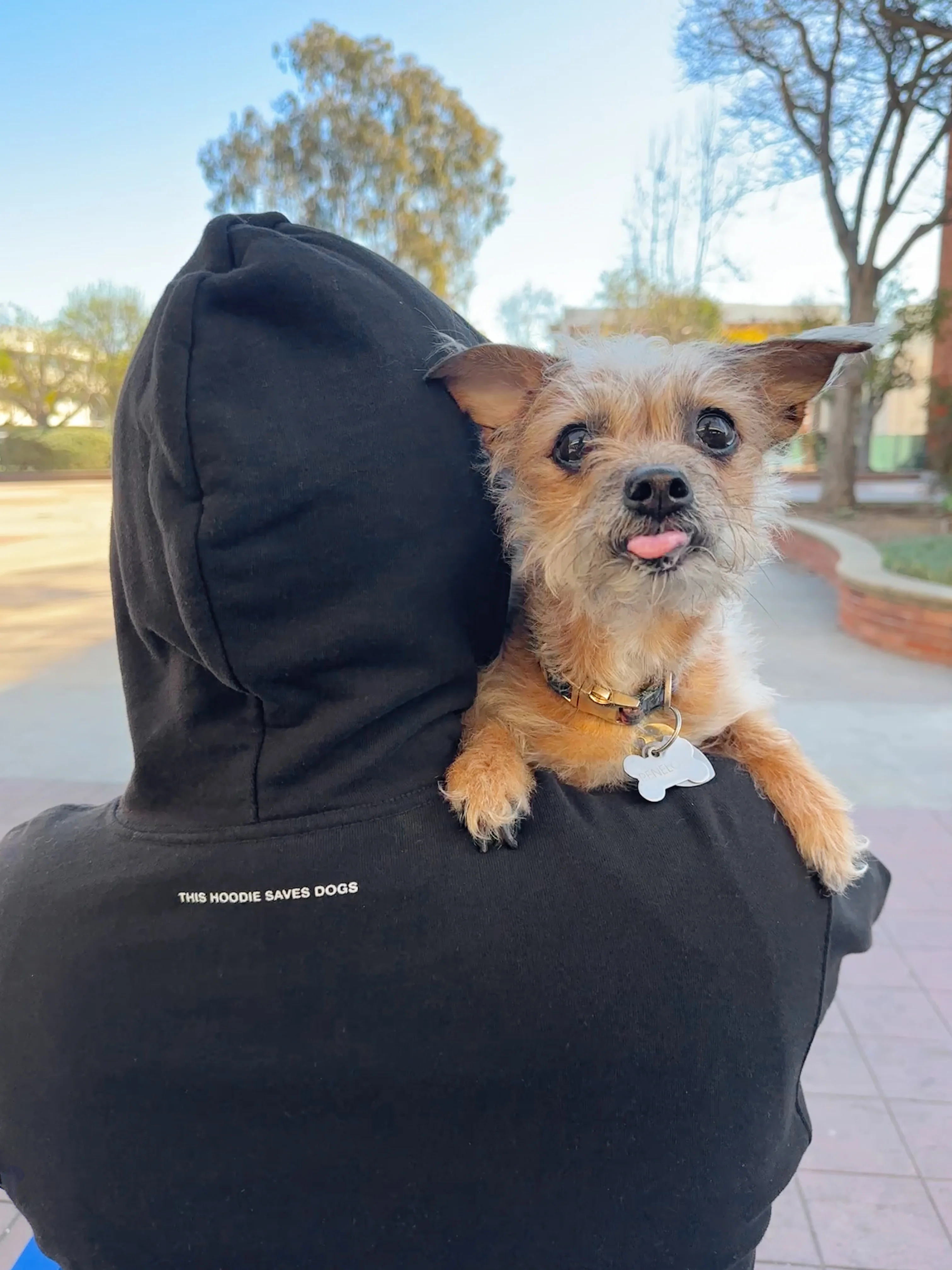 Zip Hoodie - Black - Image 4